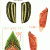 wakou02_mars2008.gif